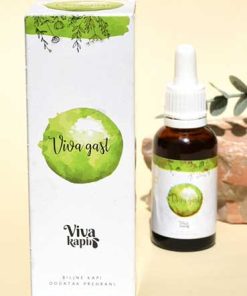Viva Gast kapi – Bilje sestre Ljubice